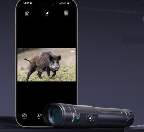 Captura de ecrã 2025-07-29 105951